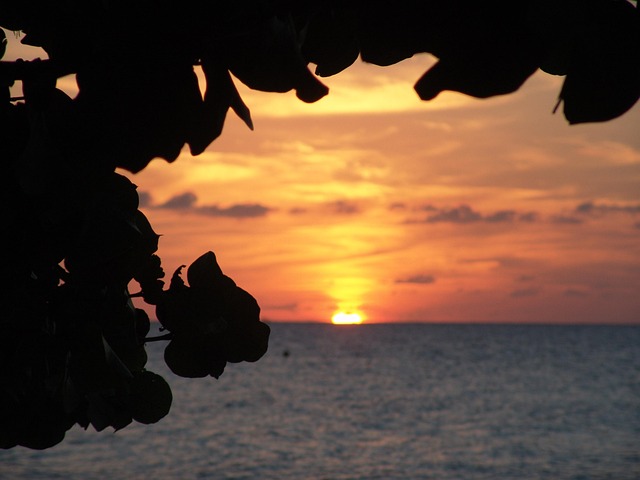 Silhouetted palm leaves against a glowing Jamaican sunset over the ocean